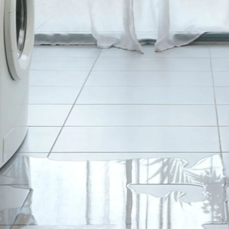 Appliance Leak Cleanup in Reading, MI