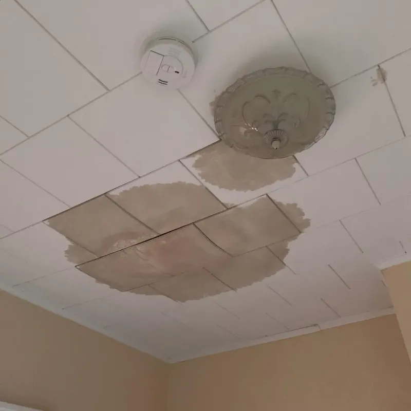 Ceiling Water Damage Repair in Reading, MI