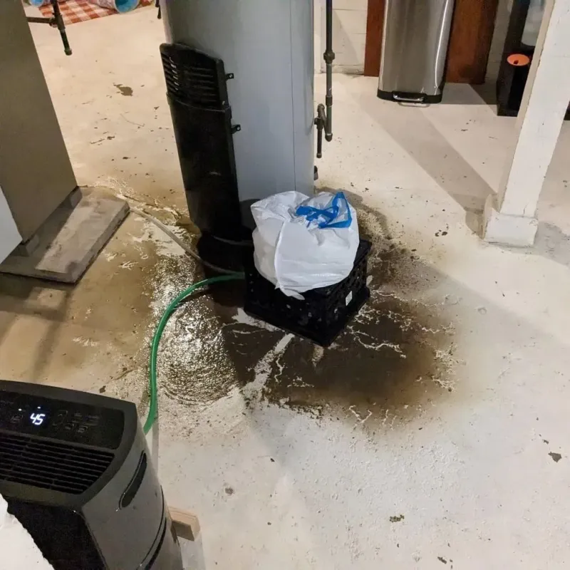 Sewage Backup Cleanup Service in Reading, MI